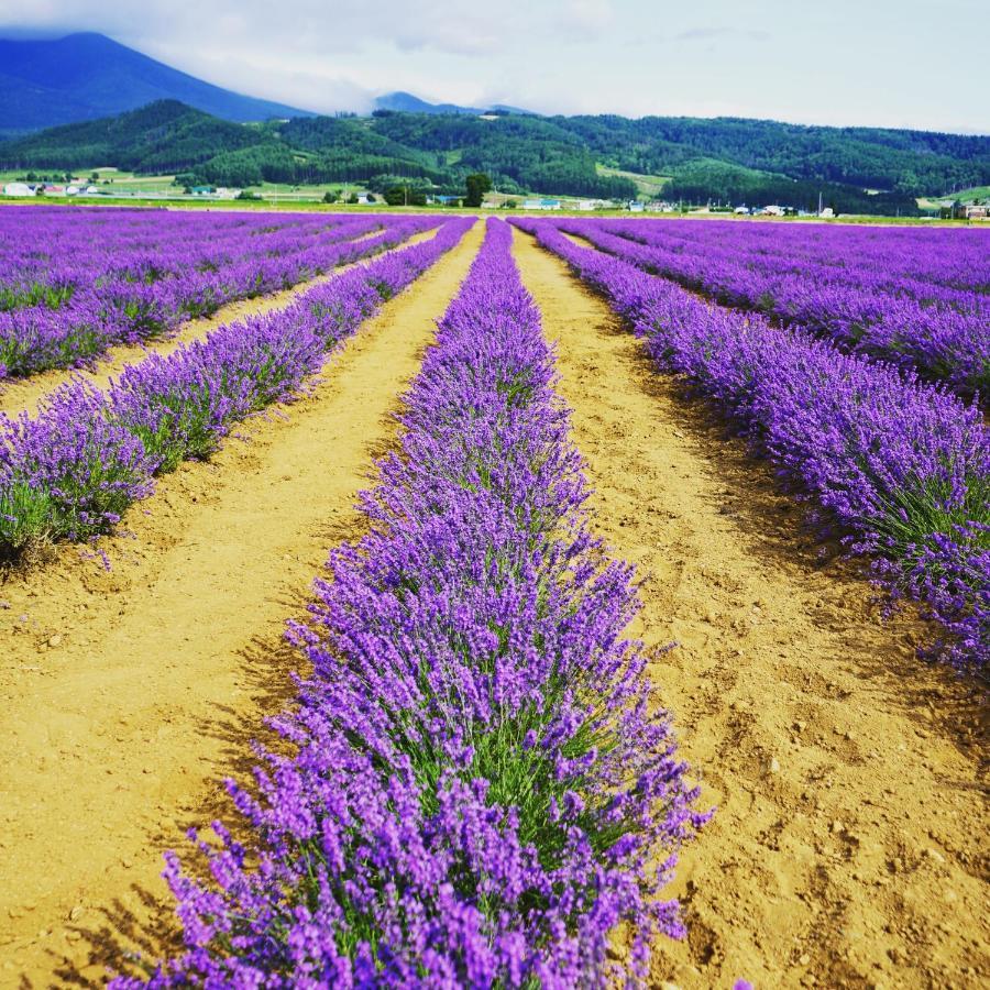 Furano Natulux Hotel Bagian luar foto